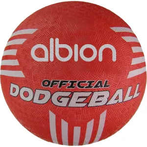 Albion Official Dodgeball | 8.5 inch