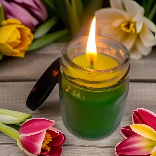 Jar Candle for Home Decorationa | Diwali Candle | Valaentine Day Decoration Candle | Organic SOYA Wax Candle | 44 Hrs Burn Time Pack of 5 (Pack of 5, Green)