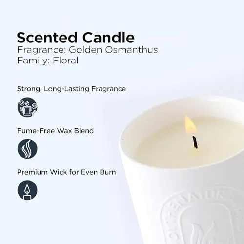 Kuber Industries Scented Candles | Fragrance Candles | Candles for Wedding | Candles for Bedroom | Birthday Candles | Valentines Day Gifts Candles | DY-230704B | White