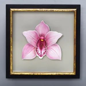 PINK CYMBIDIUM ORCHID SHADOW BOX