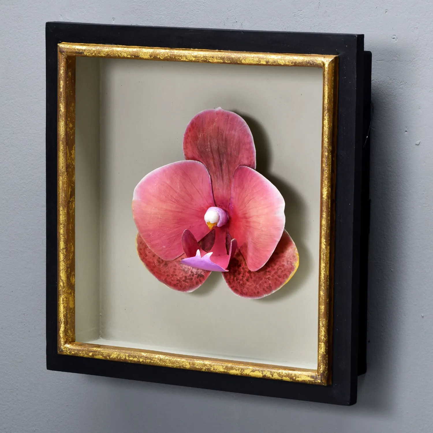SURF SONG MOTH ORCHID SHADOW BOX